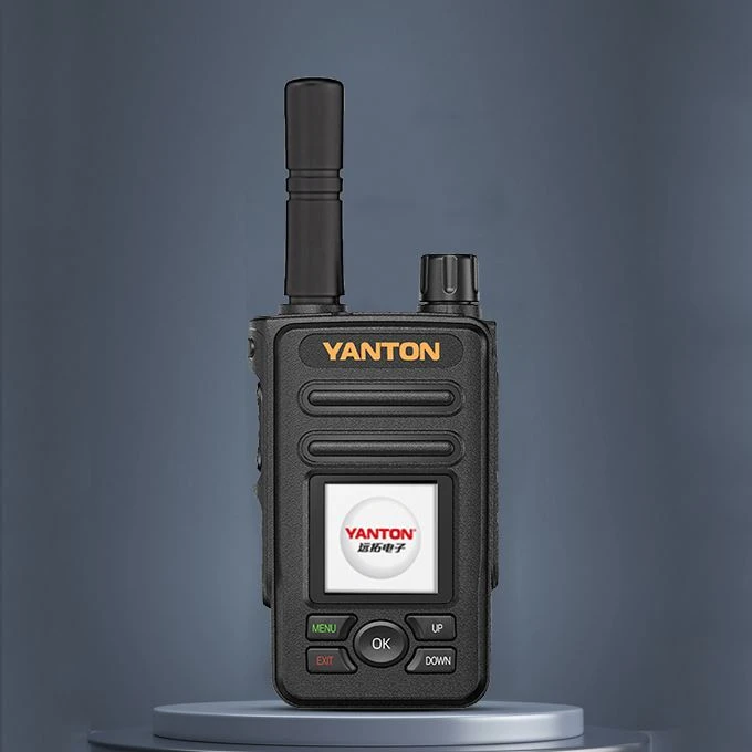 Push-to-Talk Via IP Cellular Radio